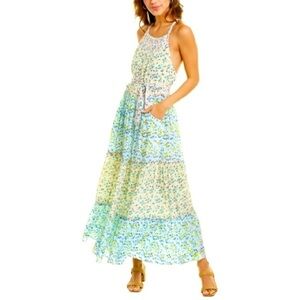 ASH & EDEN Sudha Maxi Dress Multi